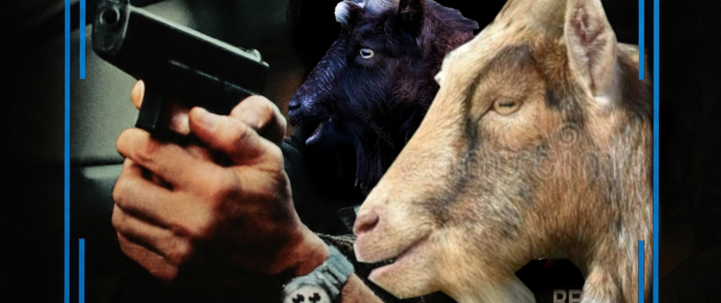 GOAT.LAN 15 vom 11. - 13. September 2026
