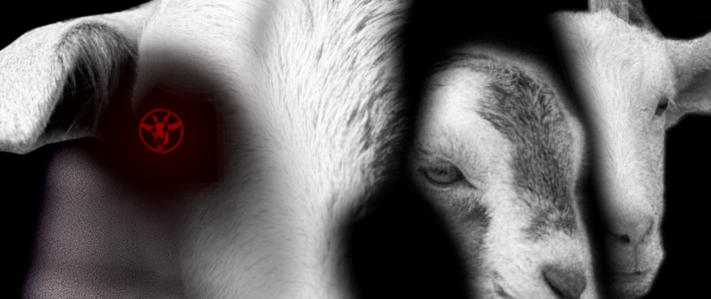 GOAT.LAN 12 vom 28. - 30. März 2025